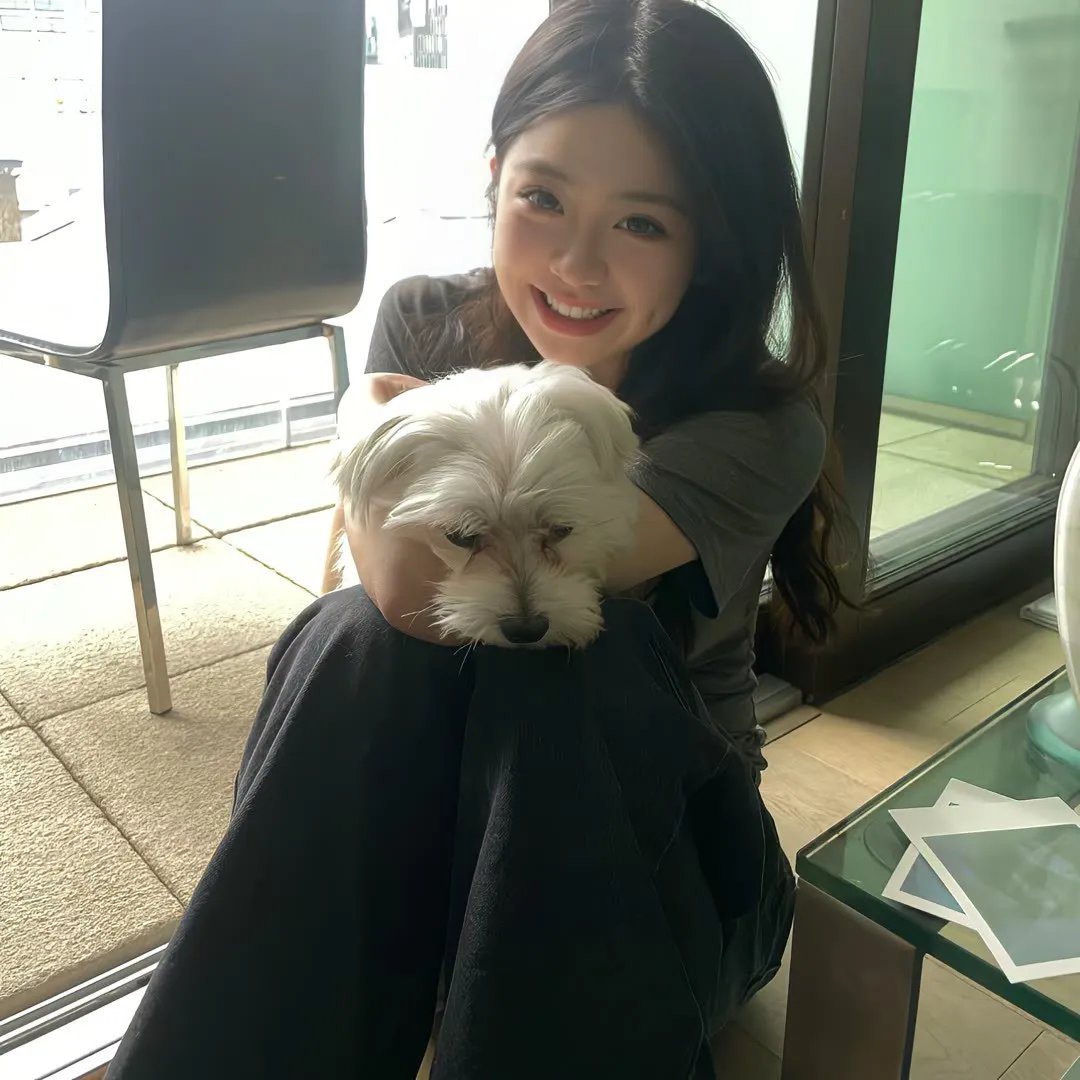 你是我的木槿年华